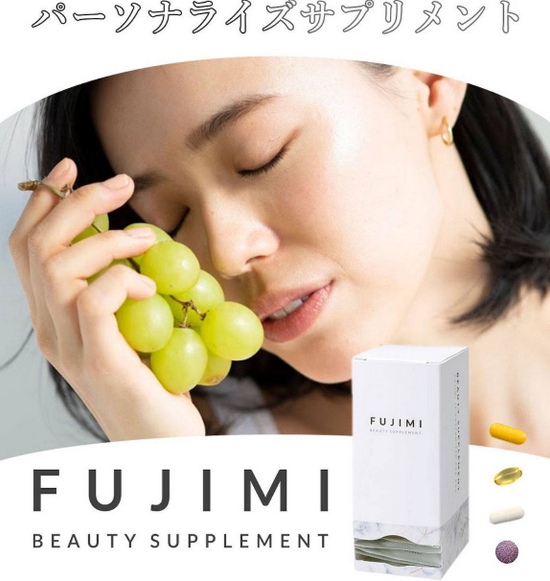 FUJIMI(�t�W�~) �T�v��
���T�C�g